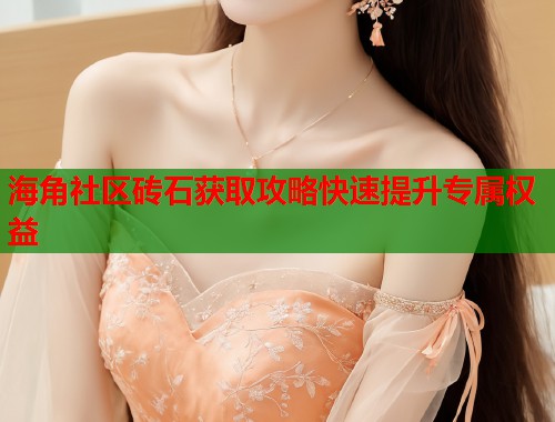 海角社区砖石获取攻略快速提升专属权益