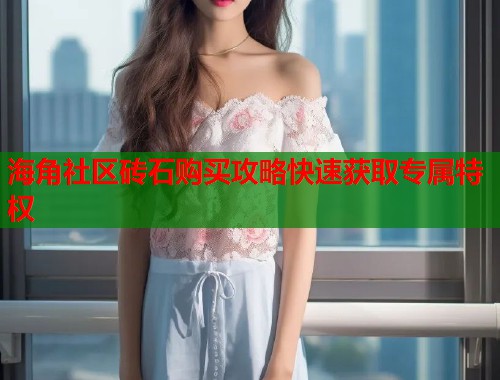 海角社区砖石购买攻略快速获取专属特权