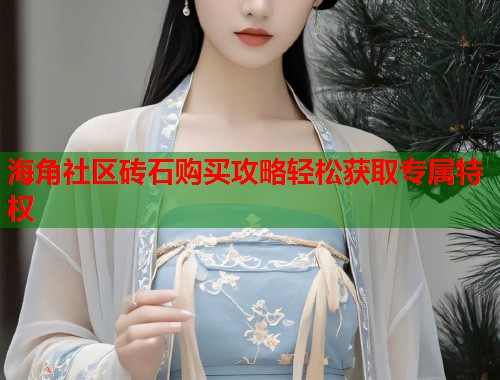 海角社区砖石购买攻略轻松获取专属特权