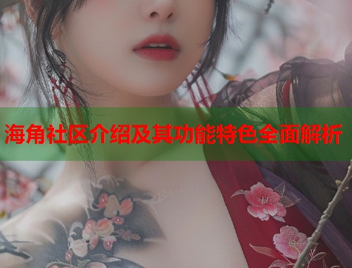 海角社区介绍及其功能特色全面解析